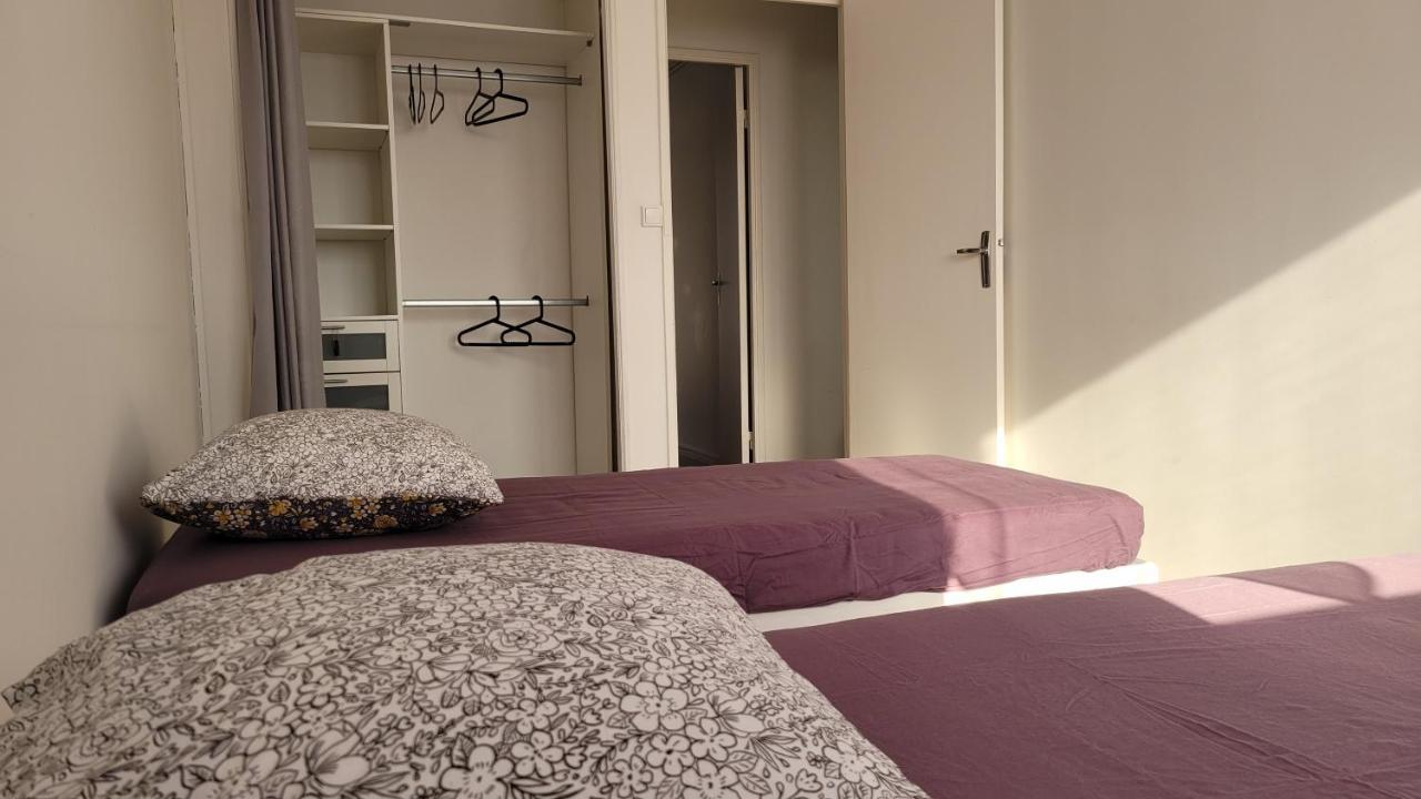 Appartement Lumineux ショレ エクステリア 写真